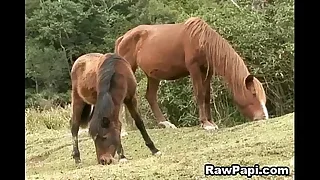 Gay Sex 0